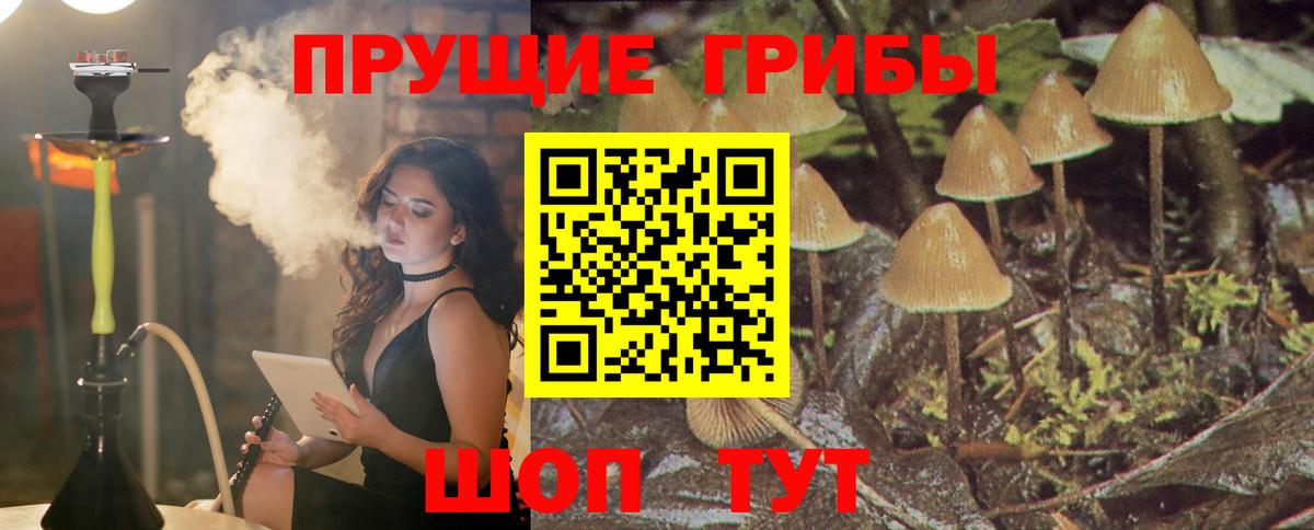 Псилоцибиновые грибы MAGIC MUSHROOMS  Вход с VPN  наркошоп  Нововоронеж 